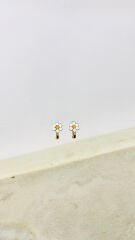 PAPATYA ÇOCUK KÜPESİ