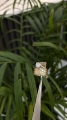 ALYANSLI TEKTAŞ YÜZÜK