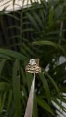 ALYANSLI TEKTAŞ YÜZÜK