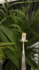 KOLLARI TAŞLI TEKTAŞ