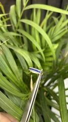 SAFİR YARIMTUR YÜZÜK